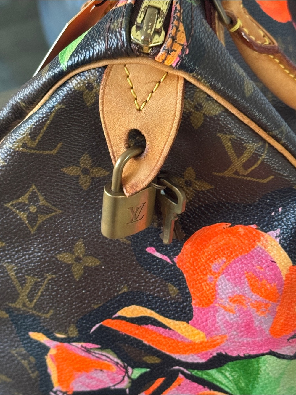 LOUIS VUITTON Monogram CANVAS Speedy 30 Stephen Sprouse Roses - Picture 6 of 16